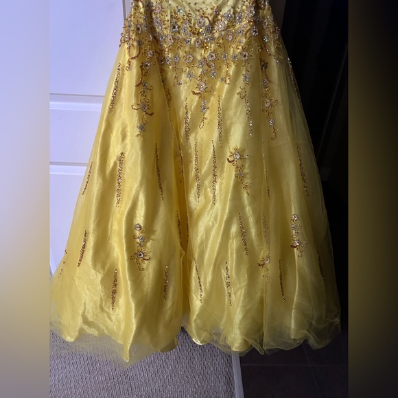 Bicici Prom/Graduation Dress - Picture 4 of 12